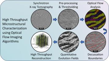 High throughput automated characterization of enamel microstructure using synchrotron tomography and optical flow imaging