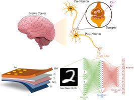 Bismuth-based ferroelectric memristive device induced by interface barrier for neuromorphic computing