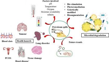 Emerging strategies for enhancing microbial degradation of petroleum hydrocarbons: Prospects and challenges