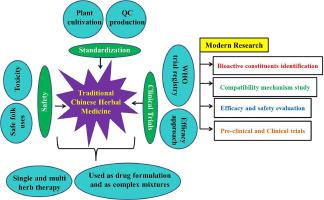 Exploring the ancient wisdom and modern relevance of Chinese medicine: A comprehensive review