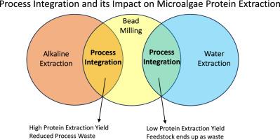 Integrating bead milling and alkaline solubilization for enhanced protein recovery from microalgae: A comprehensive approach