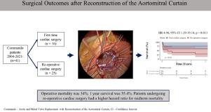 Surgical Outcomes After Reconstruction of the Aortomitral Curtain