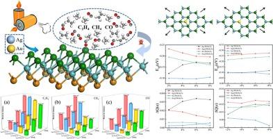 First-principles study on the gas sensing properties of precious metal modified(Ag, Au) Janus MoSeTe for lithium ion thermal runaway gas