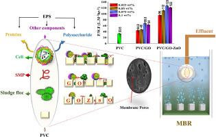 Application of modified PVC membranes with GO-ZnO nanoparticles in MBR: Sludge characteristics, fouling control and removal performance