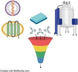 Optimizing NMR fragment-based drug screening for membrane protein targets