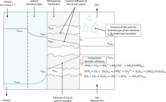 Mitigating phase changes in the gas-phase that disrupt CO2 capture in membrane contactors: CO2-NH3-H2O as a model ternary system