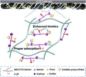 An all-biomaterials-based aqueous binder based on adsorption redox-mediated synergism for advanced lithium–sulfur batteries