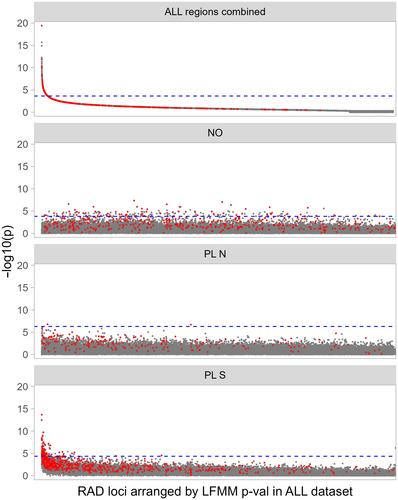 Limited evidence for genetic differentiation or adaptation in two amphibian species across replicated rural–urban gradients