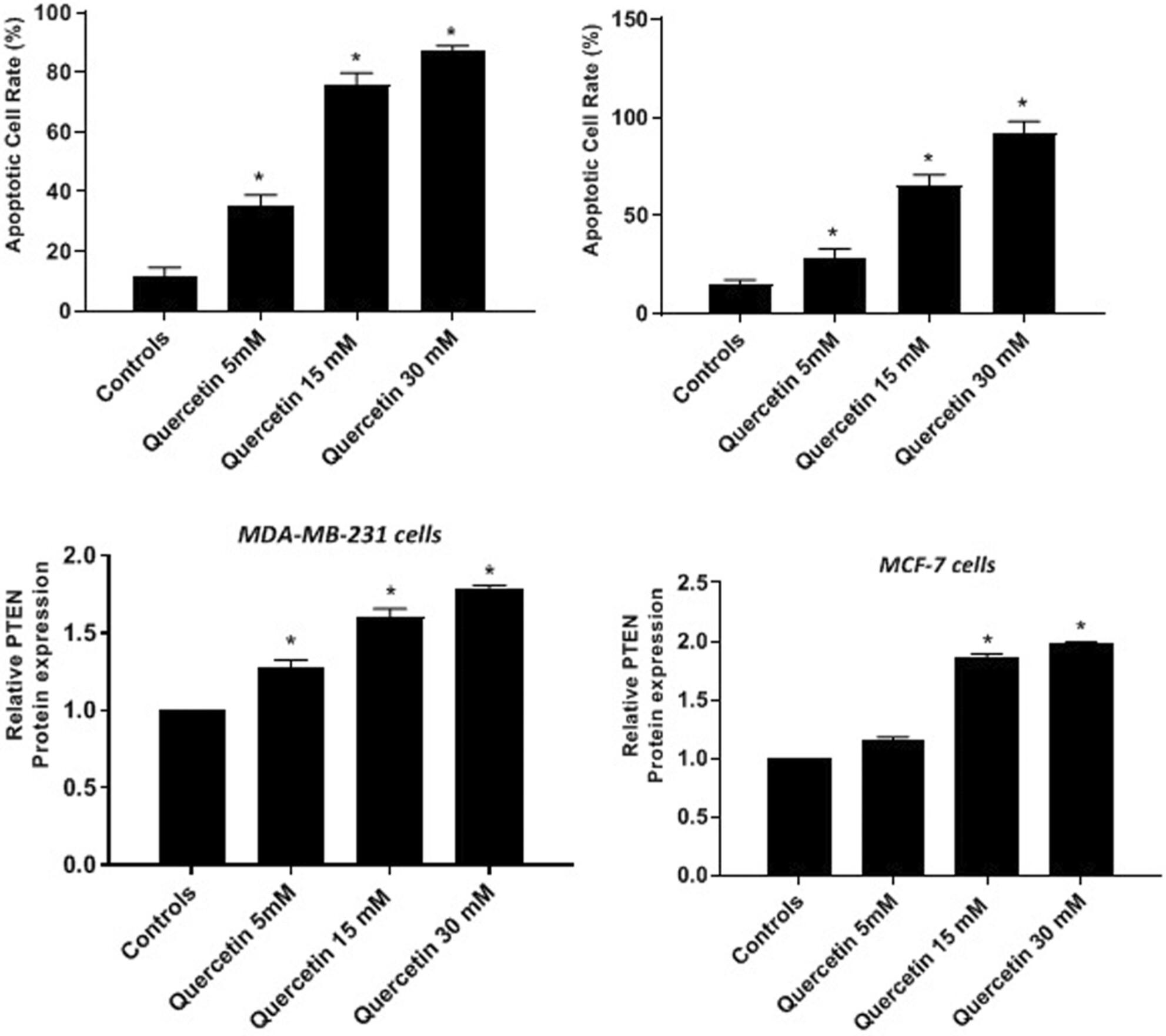 Quercetin inhibits breast cancer cell proliferation and survival by targeting Akt/mTOR/PTEN signaling pathway