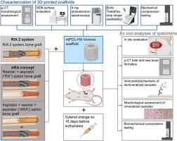 An innovative intramedullary bone graft harvesting concept as a fundamental component of scaffold-guided bone regeneration: A preclinical in vivo validation