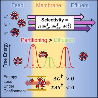 Kinetic barrier networks reveal rate limitations in ion-selective membranes