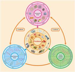 Recent advances in optical sensors and probes for the detection of freshness in food samples: A comprehensive review (2020–2023)