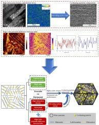 A new insight on the corrosion behavior and mechanism of martensitic steel