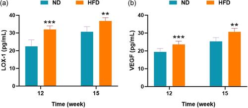 High-fat-diet-induced obesity promotes simultaneous progression of lung cancer and atherosclerosis in apolipoprotein E-knockout mice