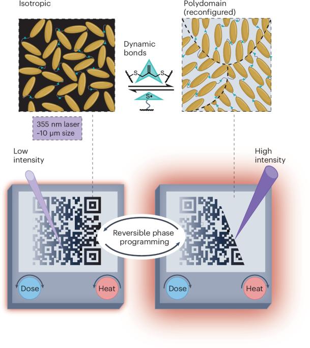 Etch A Sketch-like liquid-crystal phase patterning