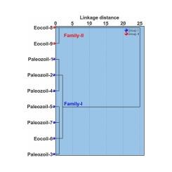 Molecular organic geochemistry and origin of oil in the Potwar Basin, Pakistan