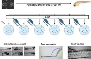 Toxicity assessment of di(2-ethylhexyl) phthalate using zebrafish embryos: Cardiotoxic potential