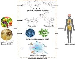 Recognition on pharmacodynamic ingredients of natural products