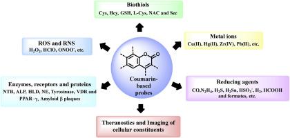 Coumarin-based fluorescent probes for the detection of ions, biomolecules and biochemical species responsible for diseases