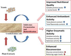 Enhancement of biochemical parameters and enzyme activity in solid-state fermented and biofortified maize cobs utilizing yeasts and plant extracts