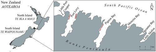 Using passive acoustic monitoring to assess the overlap between endemic endangered Hector's dolphin (Cephalorhynchus hectori hectori) and mussel farms in the Banks Peninsula Marine Mammal Sanctuary, New Zealand