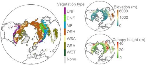 Deciphering the Biophysical Impact of Permafrost Greening on Summer Surface Offset