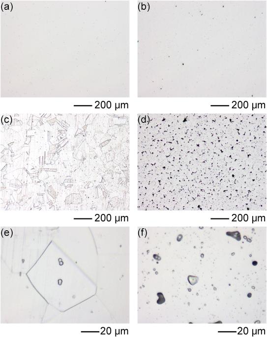 Pitting corrosion characteristics of sintered Type 316 L stainless steel: relationship between pores and MnS