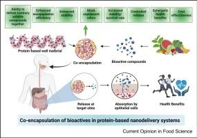 Protein-based encapsulation systems for codelivery of bioactive compounds: Recent studies and potential applications