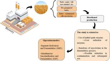 Use of residual barley to bioethanol production: Valoration, mycotoxins decontamination and feed production