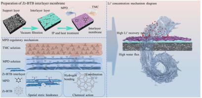 Zr-BTB nanosheets assist in optimizing the structure of forward osmosis membranes to enhance the lithium concentration performance