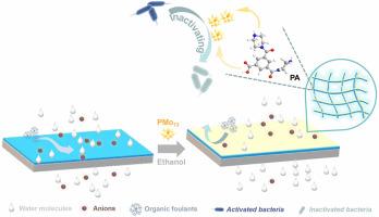 Polyoxometalates decoration combining with solvent activation for enhanced separation performance of nanofiltration membrane