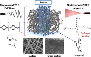 Potential of electrospun fibrous membranes involving tri-n-octylphosphine oxide for selective clearance of uremic toxin p-cresol over urea and creatinine