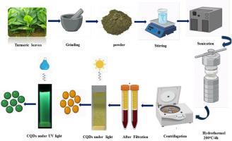 Enhancing capacitance performance of functional group assisted carbon quantum dots derived from turmeric plant waste