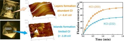 Novel insights into sylvite flotation modulated by exposing facets