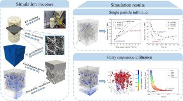 Investigating slurry infiltration in a coral reef limestone based on X-ray computed tomography and CFD-DEM numerical simulation