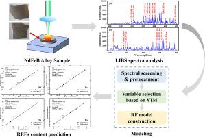 Rapid quantitative analysis of multiple rare earth elements in NdFeB alloys based on laser-induced breakdown spectroscopy (LIBS) and random forest (RF)