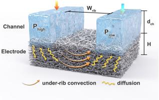 Understanding and enhancing the under-rib convection for flow-field structured vanadium redox flow batteries