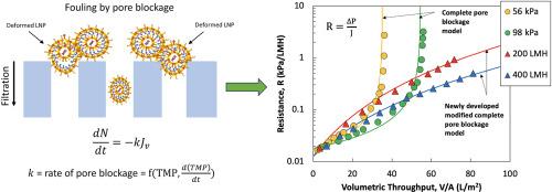 Development of a new modeling framework to describe sterile filtration of mRNA-Lipid nanoparticles