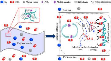 Carrier-driving CO2 separation by amine-rich membranes with intercalated graphene oxide