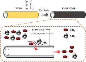 Intermediate layer free PVDF evolved CMS on ceramic hollow fiber membrane for CO2 capture