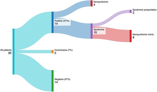 High prevalence of syndromic hearing loss in Mexican children undergoing cochlear implantation