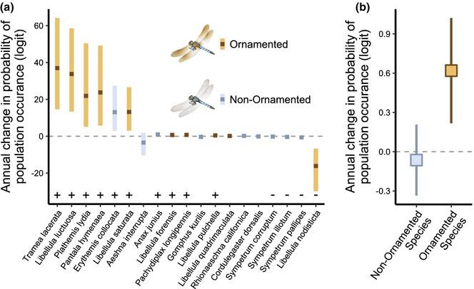 Human-modified habitats imperil ornamented dragonflies less than their non-ornamented counterparts at local, regional, and continental scales