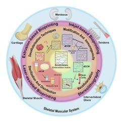 Biomimetic fabrication bioprinting strategies based on decellularized extracellular matrix for musculoskeletal tissue regeneration: Current status and future perspectives