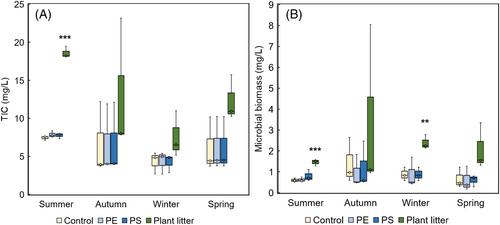 Plastic and terrestrial organic matter degradation by the humic lake microbiome continues throughout the seasons