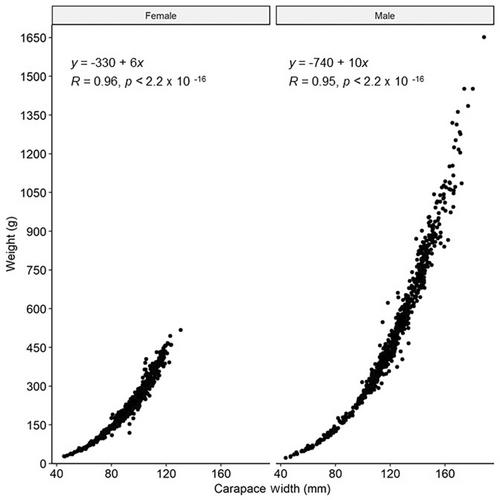 Size at maturity, reproductive cycle, and fecundity of the southern California brown box crab Lopholithodes foraminatus and implications for developing a new targeted fishery