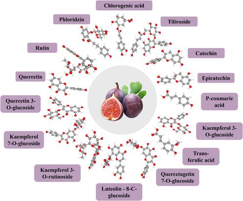 An updated review of composition, health benefits, and applications of phenolic compounds in Ficus Carica L.