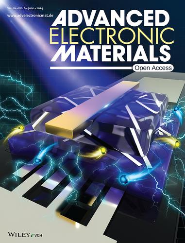 Electrolyte-Gated Vertical Transistor Charge Transport Enables Photo-Switching (Adv. Electron. Mater. 6/2024)