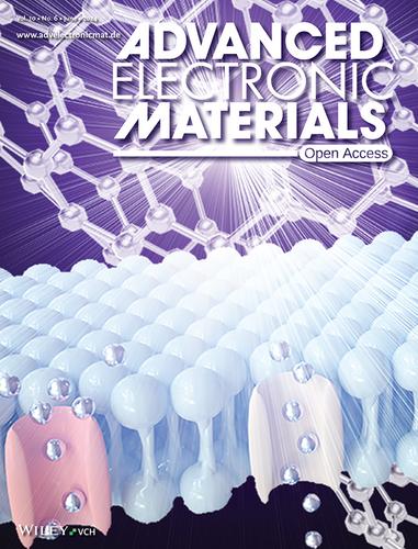 First-Principles Study of the Electronic Properties of Egg Albumen Optoelectronic Artificial Synapses by Carbon Nanotube Insertion (Adv. Electron. Mater. 6/2024)