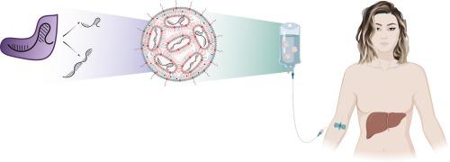 Delivery of nucleic acid based genome editing platforms via lipid nanoparticles: Clinical applications