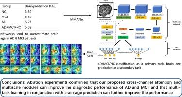 MMANet: A multi-task residual network for Alzheimer's disease classification and brain age prediction